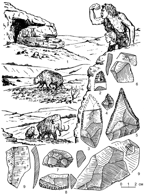 Рис. 11. Долгоруковская яйла в конце раннего палеолита, в эпоху мустье (100-25 тыс. лет назад).