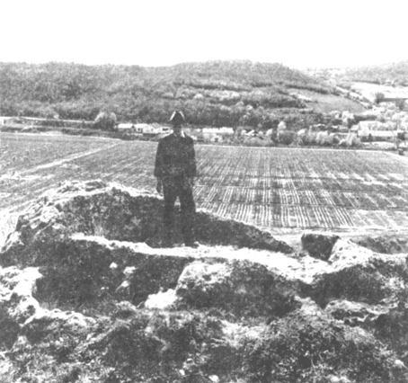 Тарапан в обломке скалы.