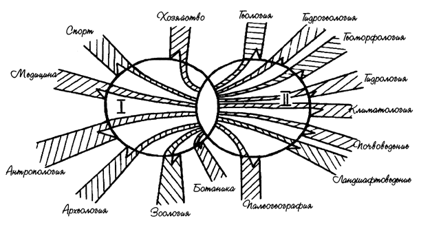 Рис. 4. Место спелеологии среди других наук (по X. Триммелю /42/)