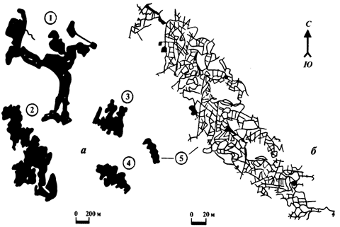 Рис. 27. Конфигурация и относительные размеры полей некоторых пещер Подолии, Украина.