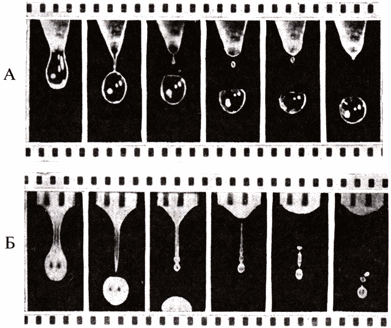 Рис. 58. Капелька, возникшая из перемычки, возвращается к сталактиту (А) или образует множество капель сателлитов (Б) (по Я. Гегузину /8/).