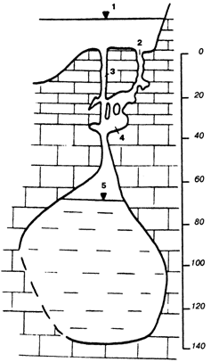 Рис. 68. Разрез пещеры Петек, Турция (по А. Бозовичу).