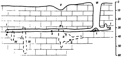 Рис. 73. Разрез вскрытой пещеры Геофизическая, Крым.