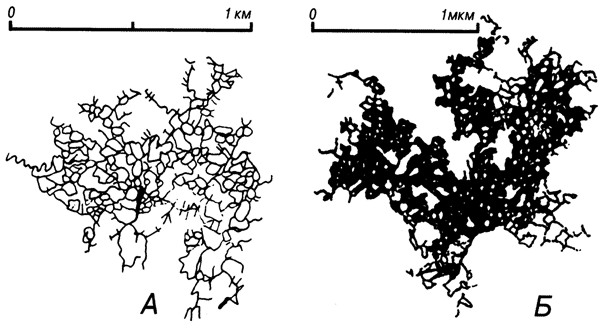 Рис. 84. Гомологичность элемента Оптимистической пещеры, Подолия (А) и фрактального кластера, входящего в каркас шаровой молнии (Б). Разница в масштабах миллиард раз!
