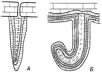 Рис. 86. Строение сталактита (А) и псевдосталактита (Б). Пунктир - ось симметрии.
